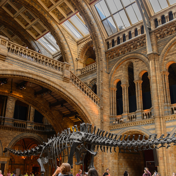 The Natural History Museum, London